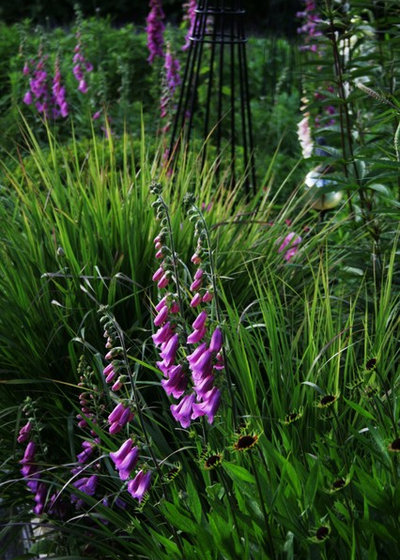 Traditional Garden by Laara Copley-Smith Garden & Landscape Design