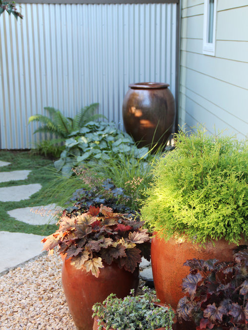 Potted Perennials Home Design Ideas, Pictures, Remodel and Decor