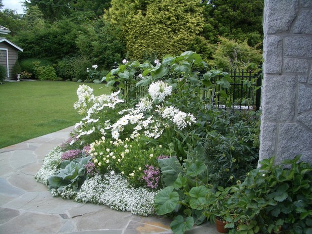 Traditional  by Glenna Partridge Garden Design