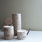 Natural White Birch Wood Candleholders by Urban + Forest