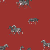 Zebra's Wallpaper