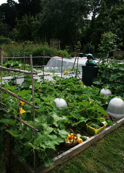 Traditional Landscape by Laara Copley-Smith Garden & Landscape Design