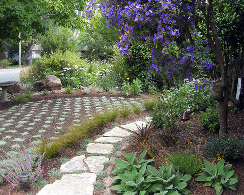 Lawn Replacement Home Design Ideas, Pictures, Remodel and Decor