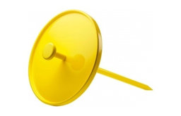 Pin Table, Neo Yellow