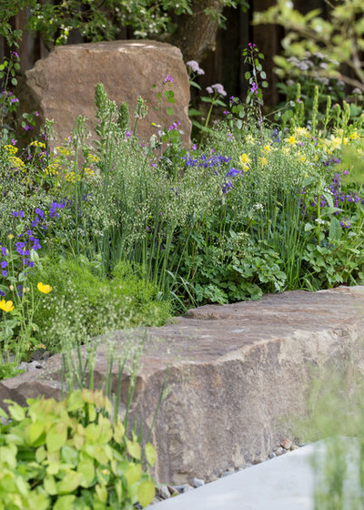 Contemporary Garden by Chris Snook