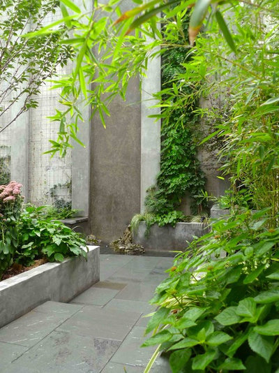 Contemporary Landscape by Outside Space NYC Landscape Design