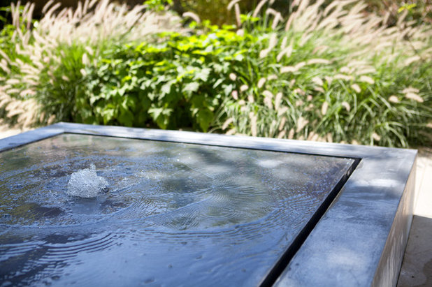 Contemporary Garden by GARDEN TROTTER