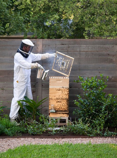 Farmhouse  by B. Jane Gardens