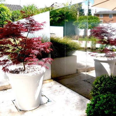 Contemporary Garden by Joanne Alderson Design
