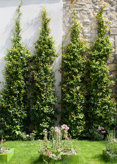 Contemporary Garden by GARDEN TROTTER