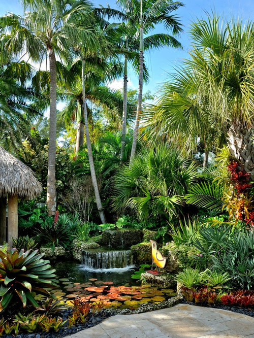 Tropical Garden Home Design Ideas, Pictures, Remodel and Decor