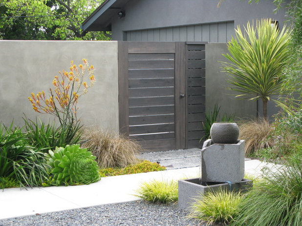 Contemporary Garden by debora carl landscape design