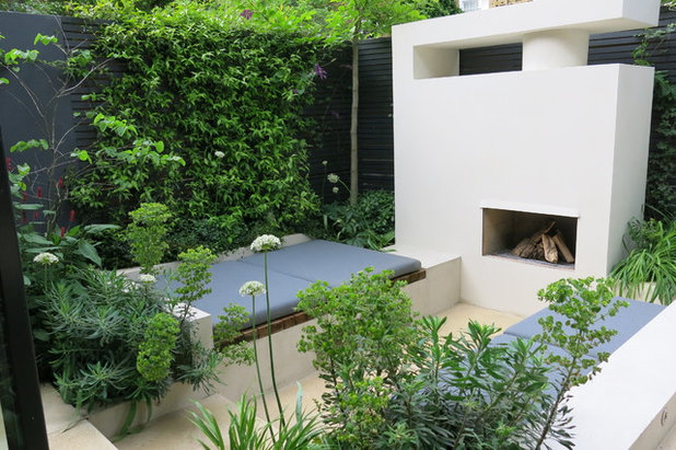 Contemporary Garden by Charlotte  Rowe Garden Design