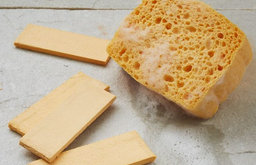 Haven Pop-Up Sponge Set