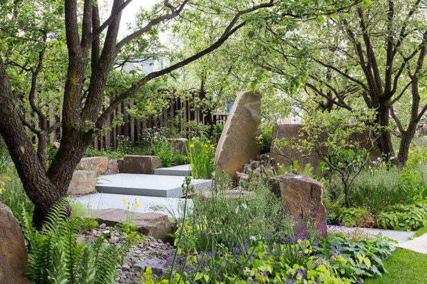 Contemporary Garden by Chris Snook