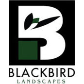 Garden Oaks back yard