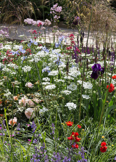 Contemporary Garden by Chris Snook