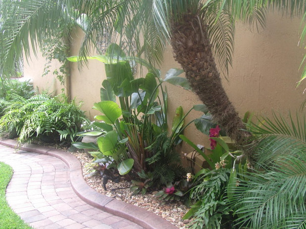 Tropical Landscape Tropical Florida