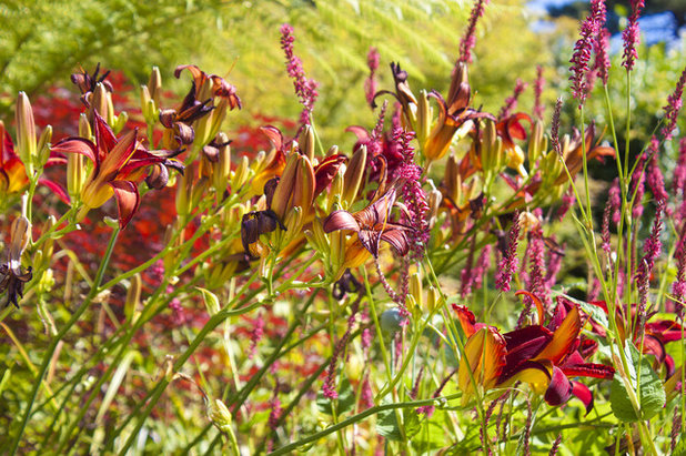 Contemporary Garden by Janine Pattison Studios