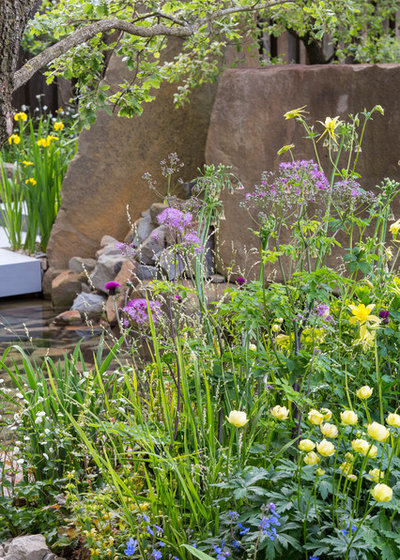 Contemporary Garden by Chris Snook