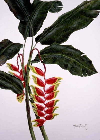 Brazil: A Powerhouse of Plants