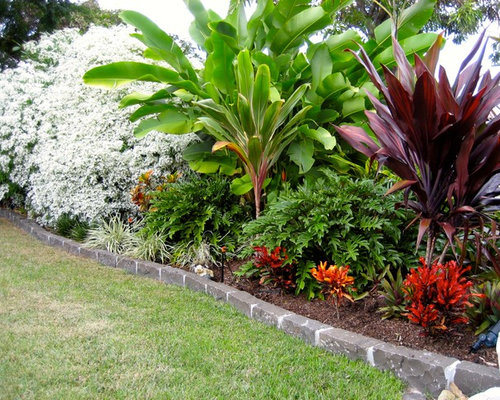 Tropical Full Sun Garden Design Ideas, Renovations & Photos