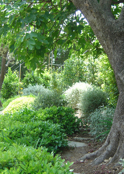 Mediterranean Garden by Atelier Nelumbo Garden Design