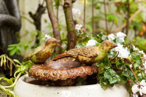 Shabby-chic Style  by Chris Snook
