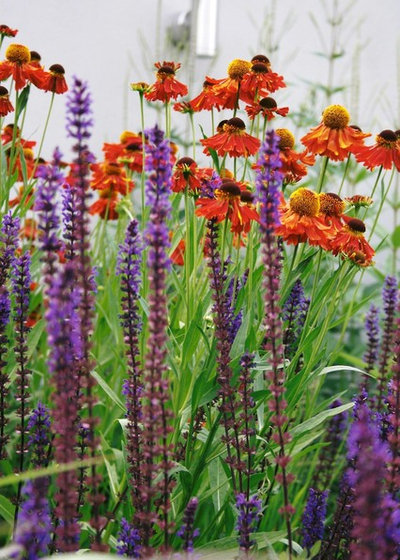 Traditional Garden by Laara Copley-Smith Garden & Landscape Design
