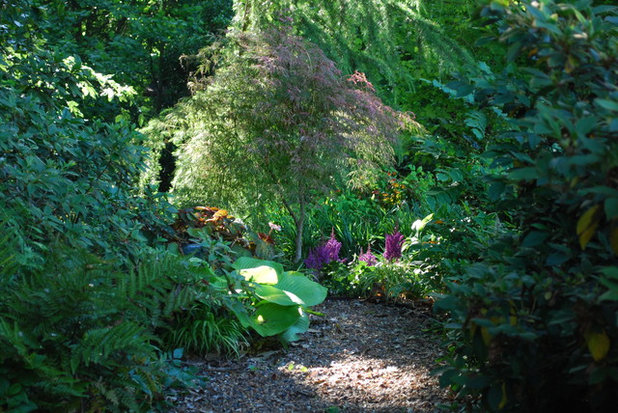 Traditional Landscape by Jay Sifford Garden Design