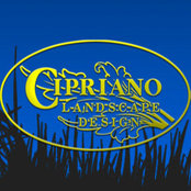 Cipriano Landscape Design & Custom Swimming Pools's photo