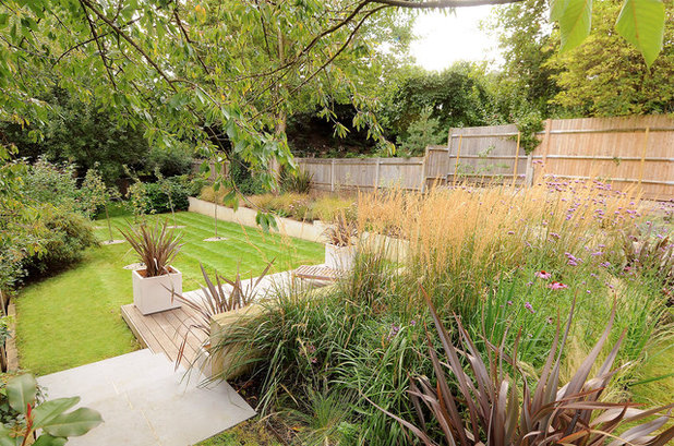 Contemporary Terrace & Balcony by Kate Eyre Garden Design
