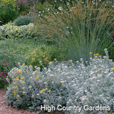 Traditional Landscape by High Country Gardens