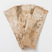 Birch Bark Strips