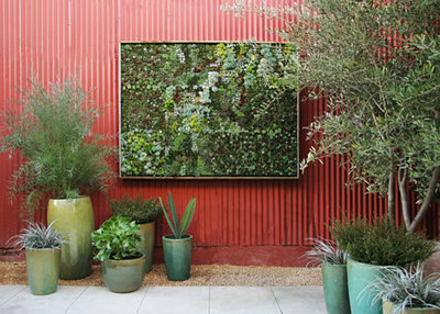 Modern Plants by Flora Grubb Gardens