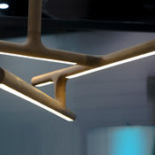 antler light