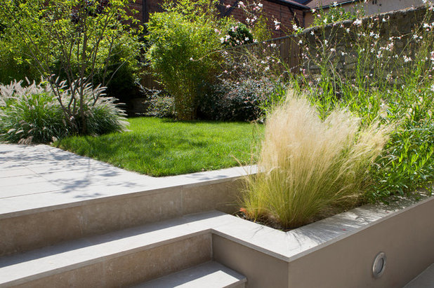 Contemporary Garden by GARDEN TROTTER