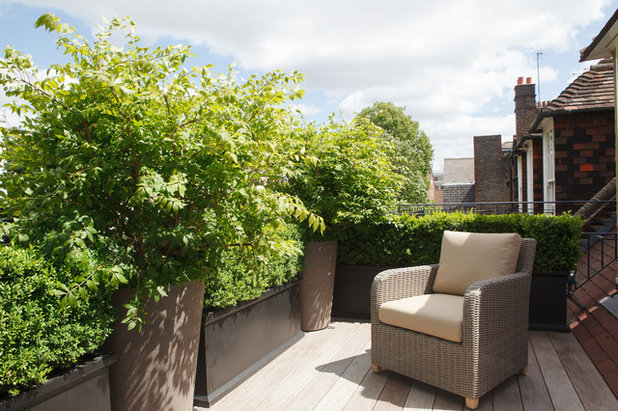 Contemporary Terrace & Balcony by Randle Siddeley