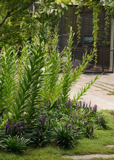 Contemporary Garden by Eckersley Garden Architecture