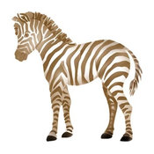 Small Baby Zebra Stencil