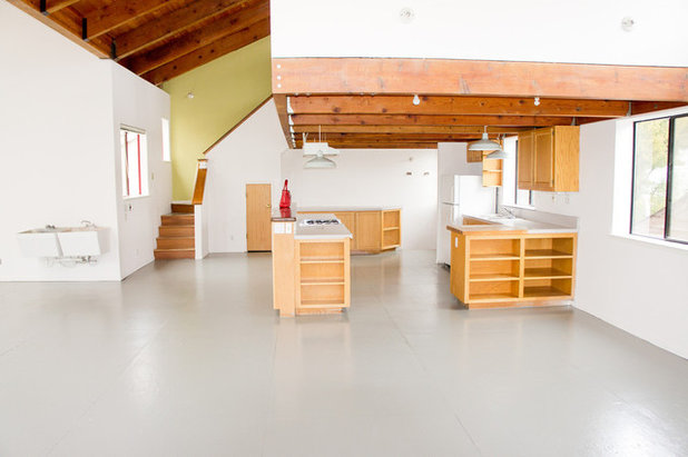 Contemporary  My Houzz: A Big, Empty Box Becomes a Mod Live-Work Space