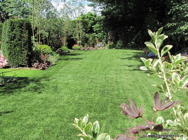 Country Garden by Blades Artificial Grass