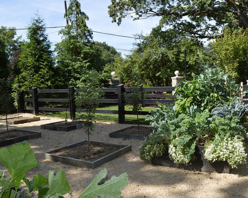 Vegetable Garden