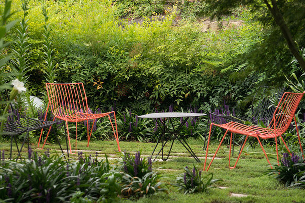 Contemporary Garden by Eckersley Garden Architecture