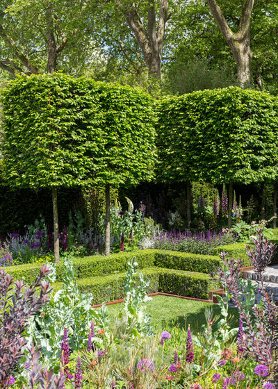 Garden by Chris Snook