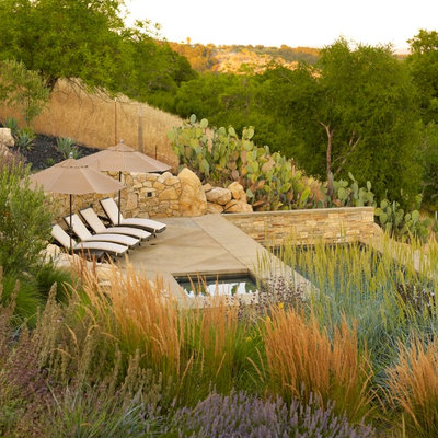Mediterranean Pool by Jeffrey Gordon Smith Landscape Architecture