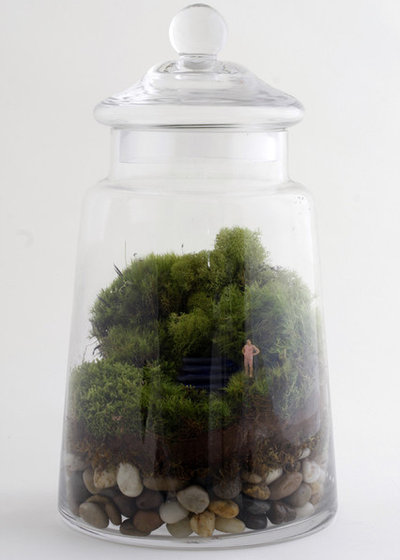 Eclectic Terrariums by Twig.
