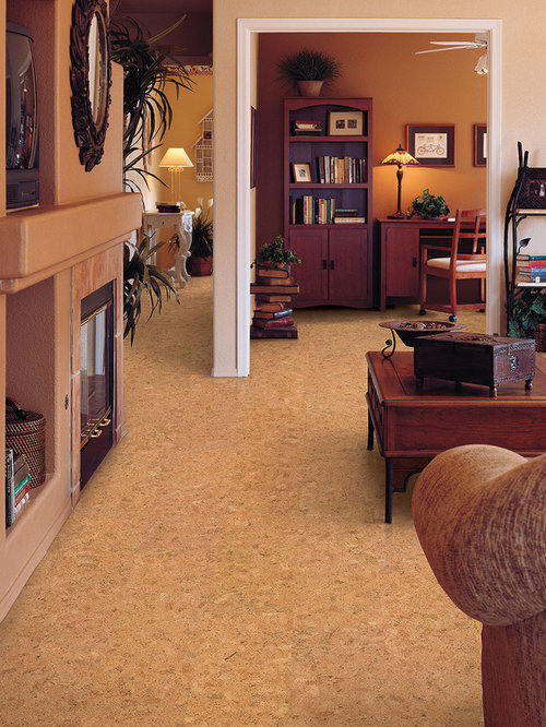 Traditional Living Room Design Ideas, Renovations & Photos ...