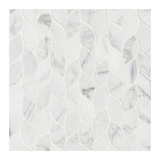 Calacatta Blanco Pattern Polished, Marble,