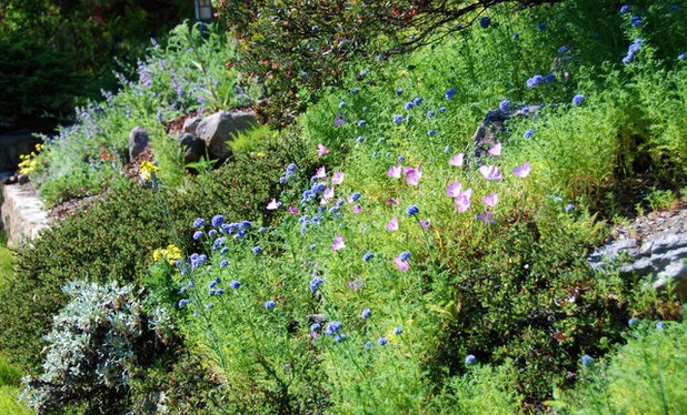 Landscape by Pete Veilleux, East Bay Wilds